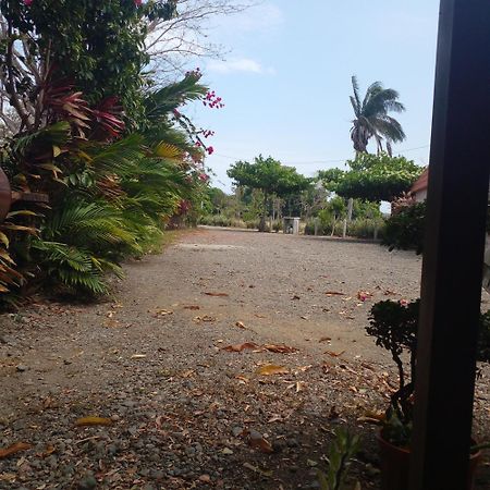 Cabanas Martina Surf Playa Guanico Pedregal Exterior photo